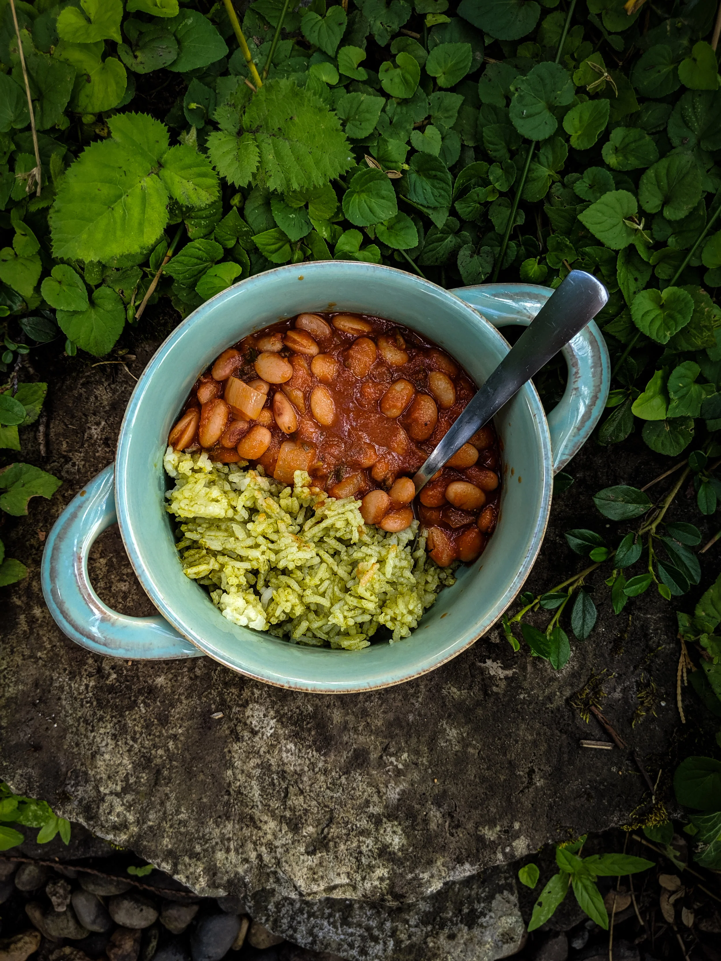 Backpacker's Lightweight Spicy Pinto Beans with Green Rice