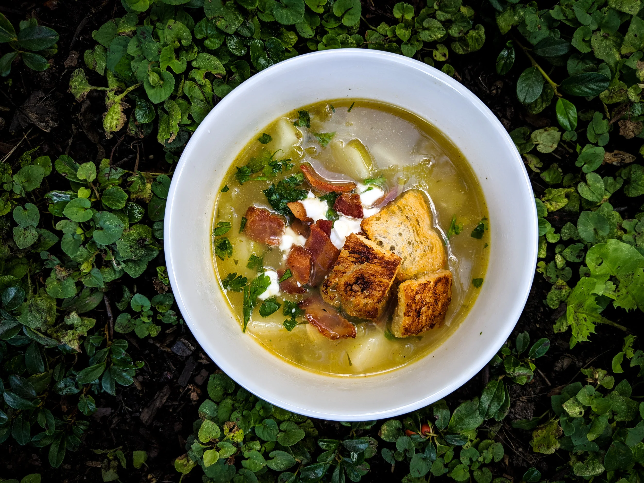 Dutch Oven Leek and Potato Warming Camp Soup