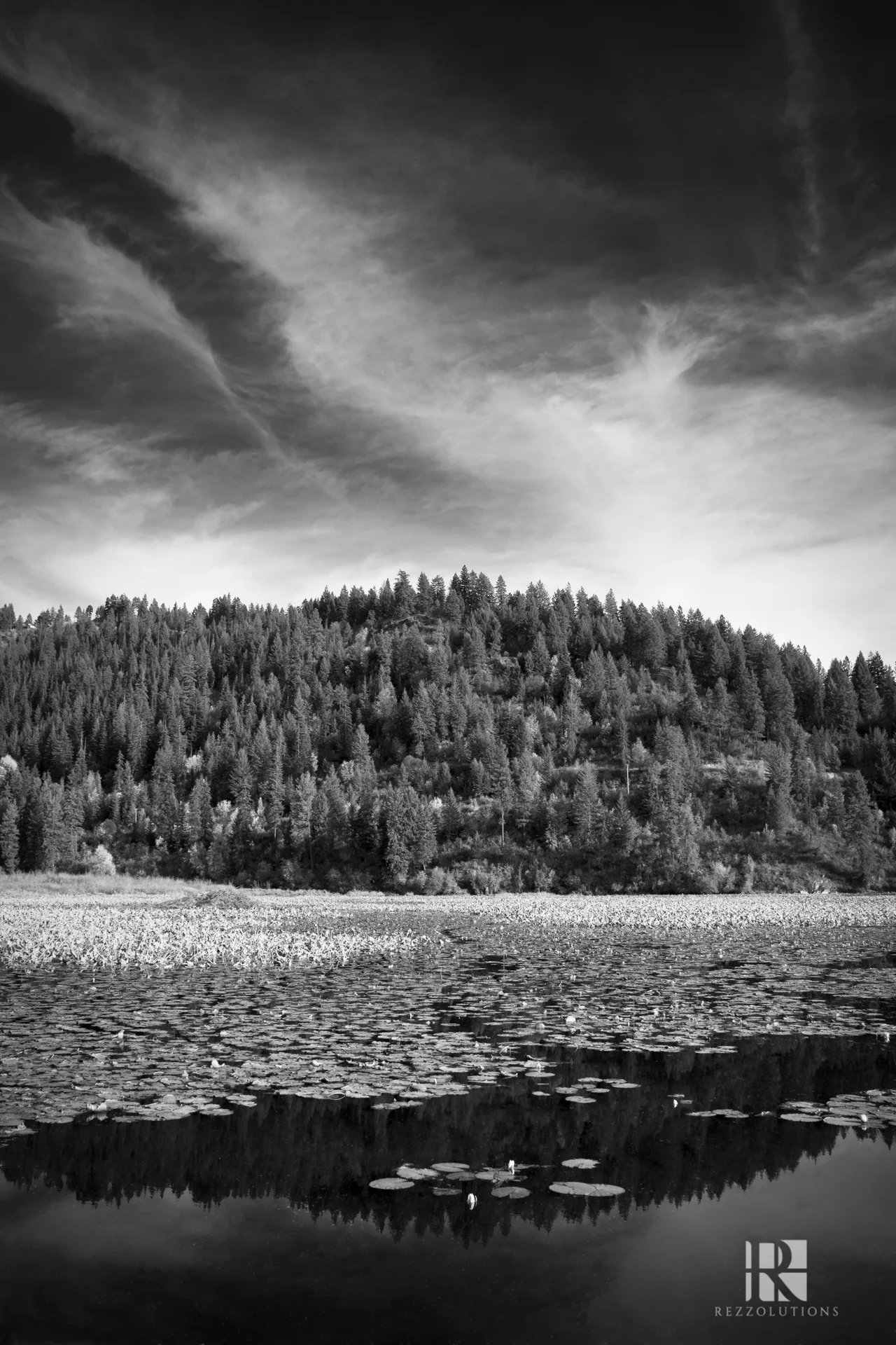 20150930-DSC_0222 copy.jpg