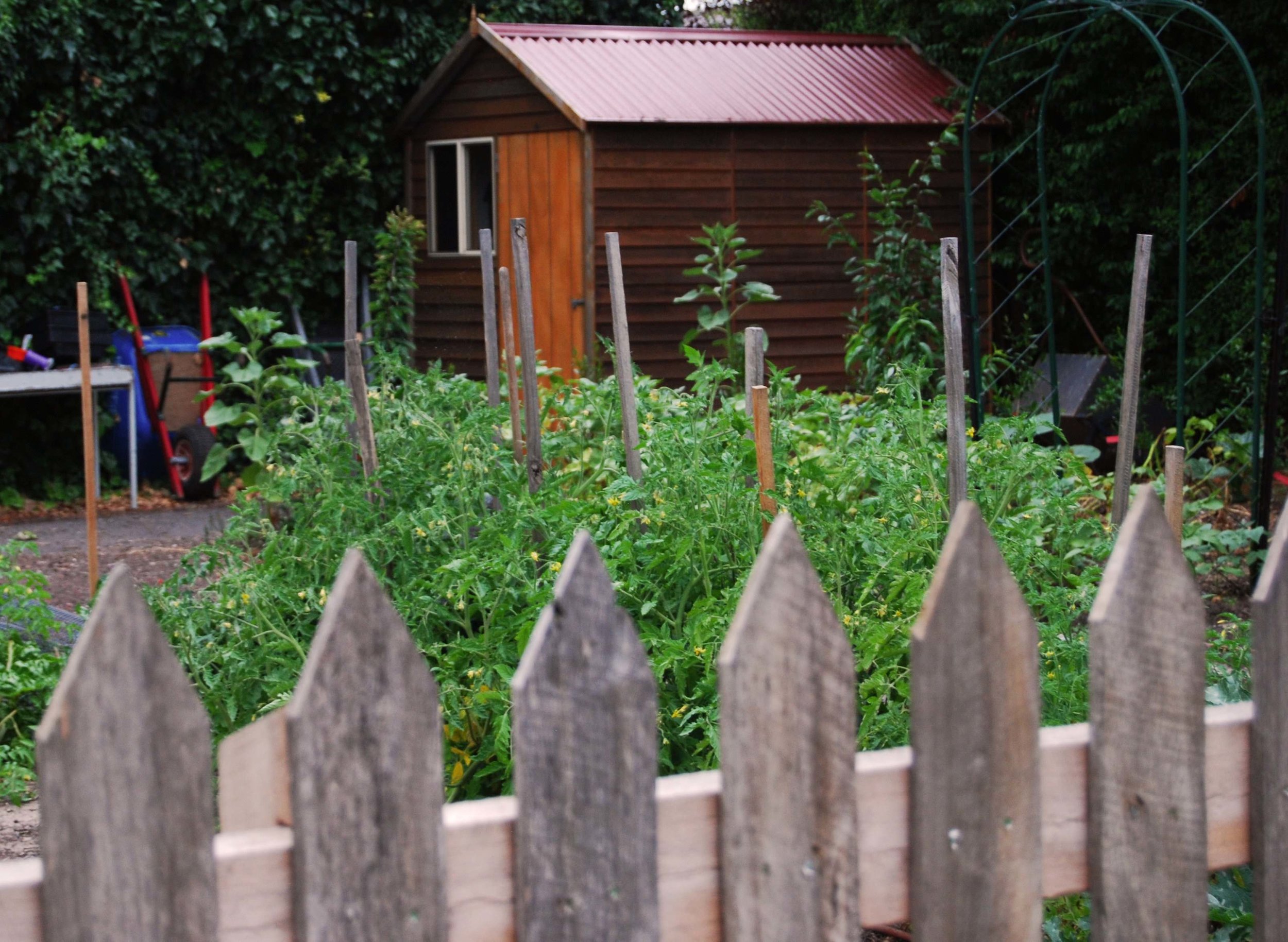 Kitchen Garden