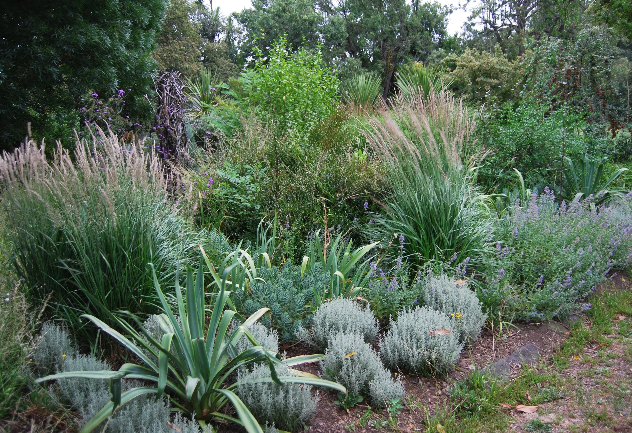 Perennial boarder
