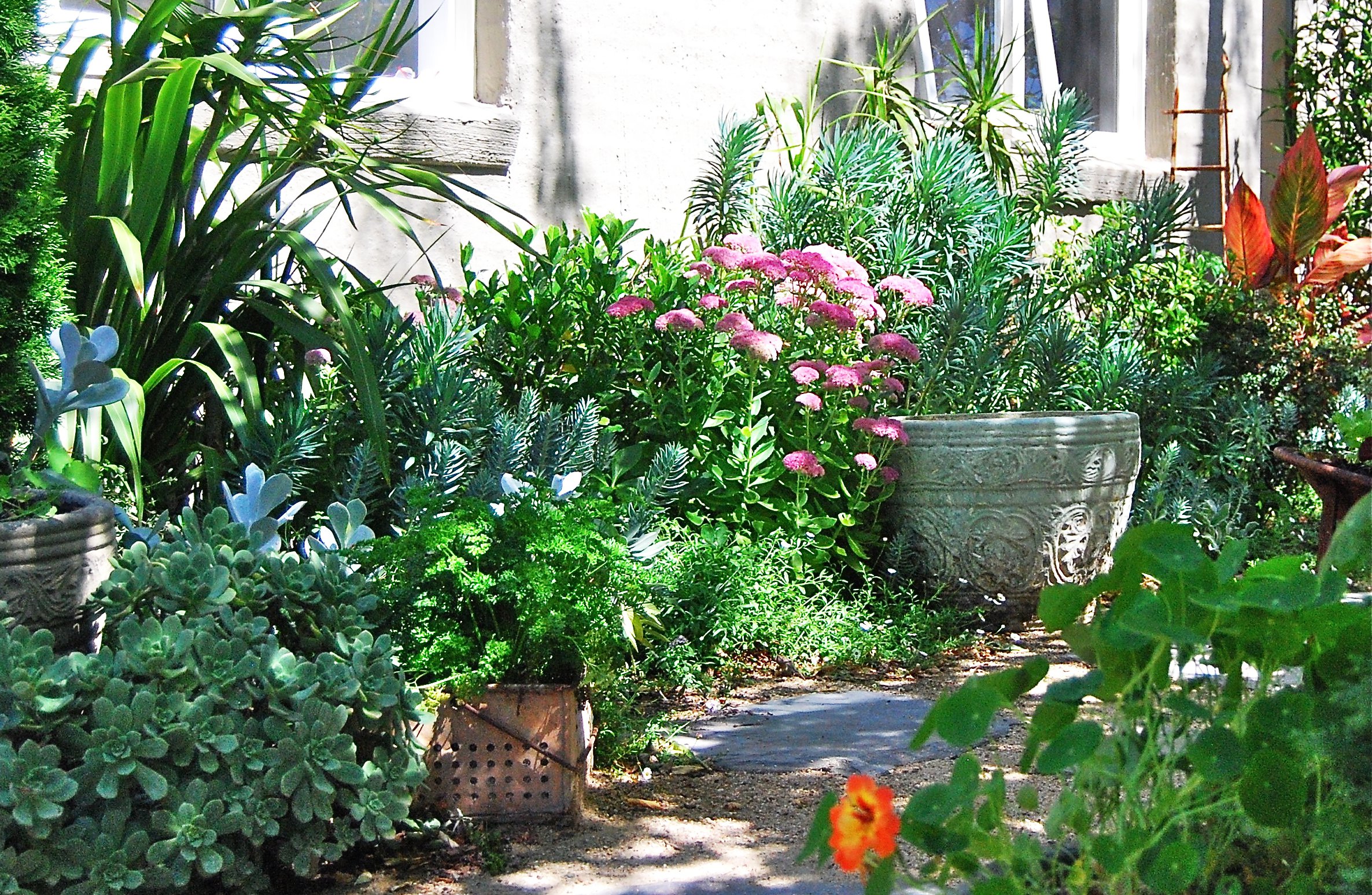 Spot for more favorite plants