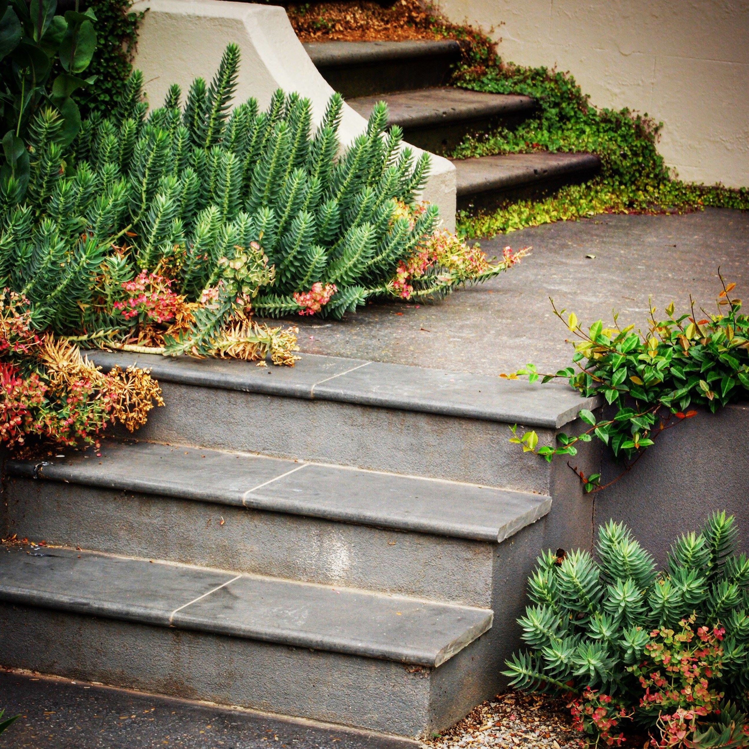 front steps