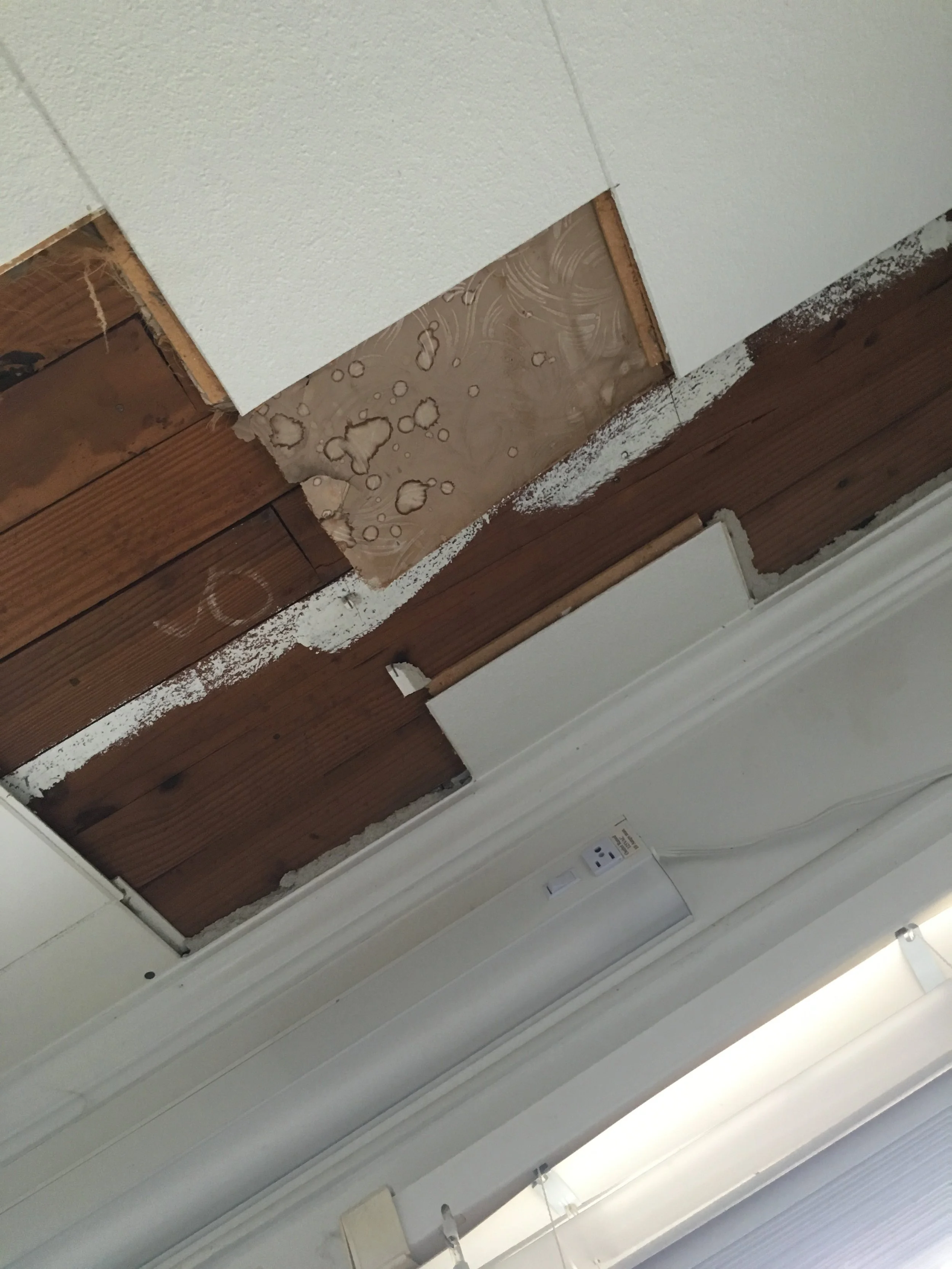 Beneath those styrofoam acoustic tiles was tongue and groove wood. Score!