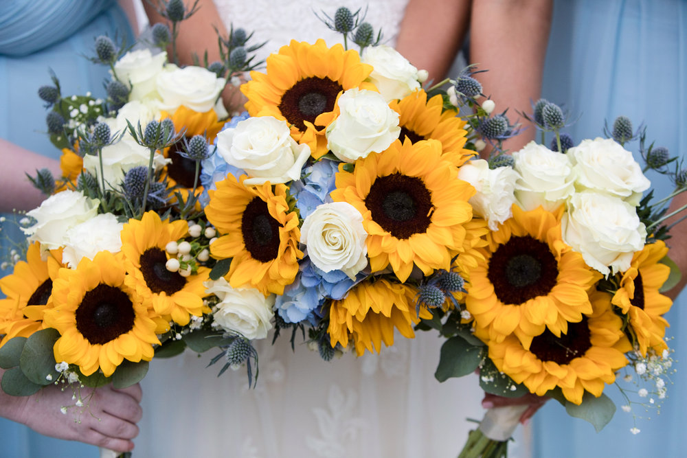 Sunflowers and White Roses