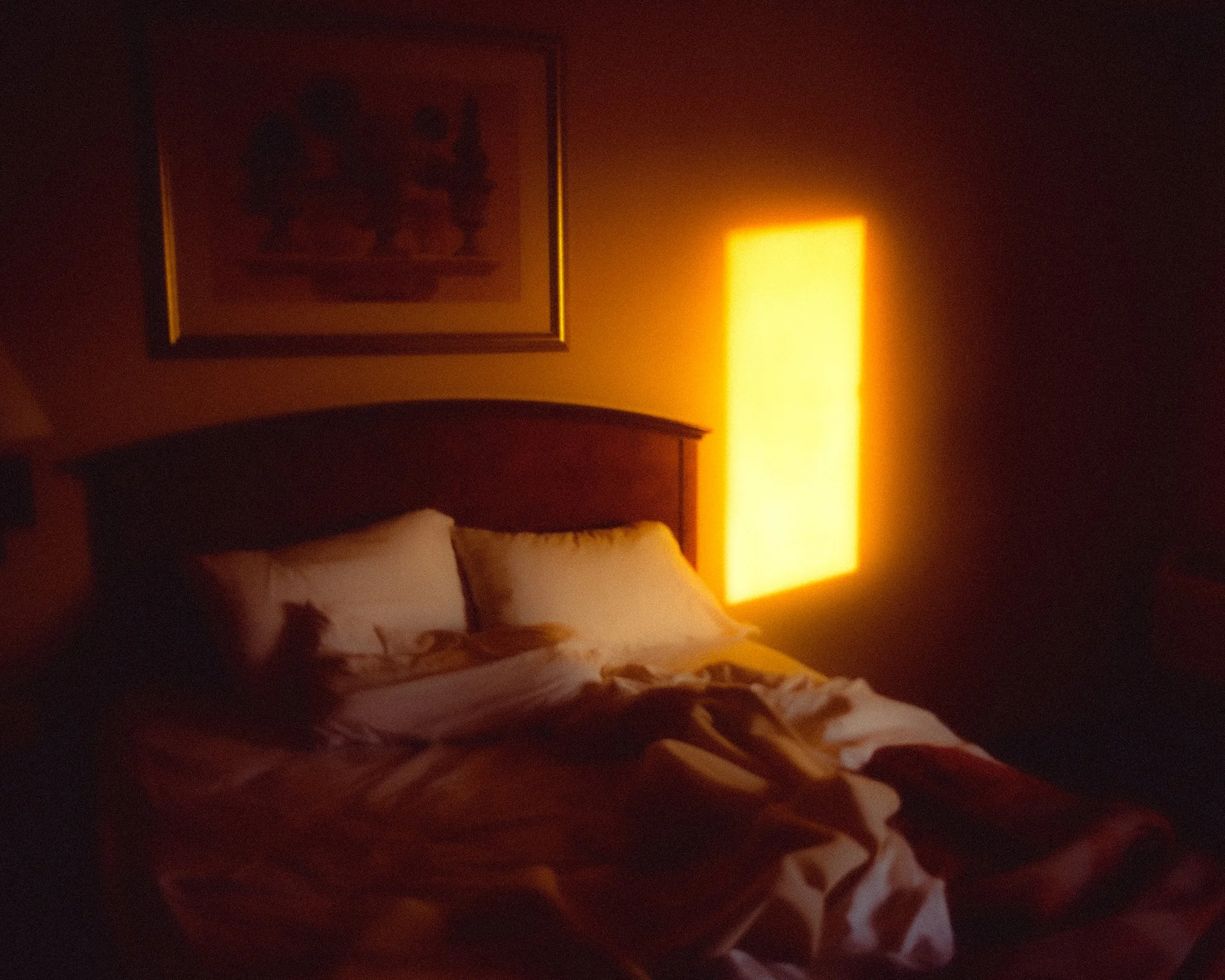 RAP_2019_NIGHTS AND DAYS TOUR_19.jpg