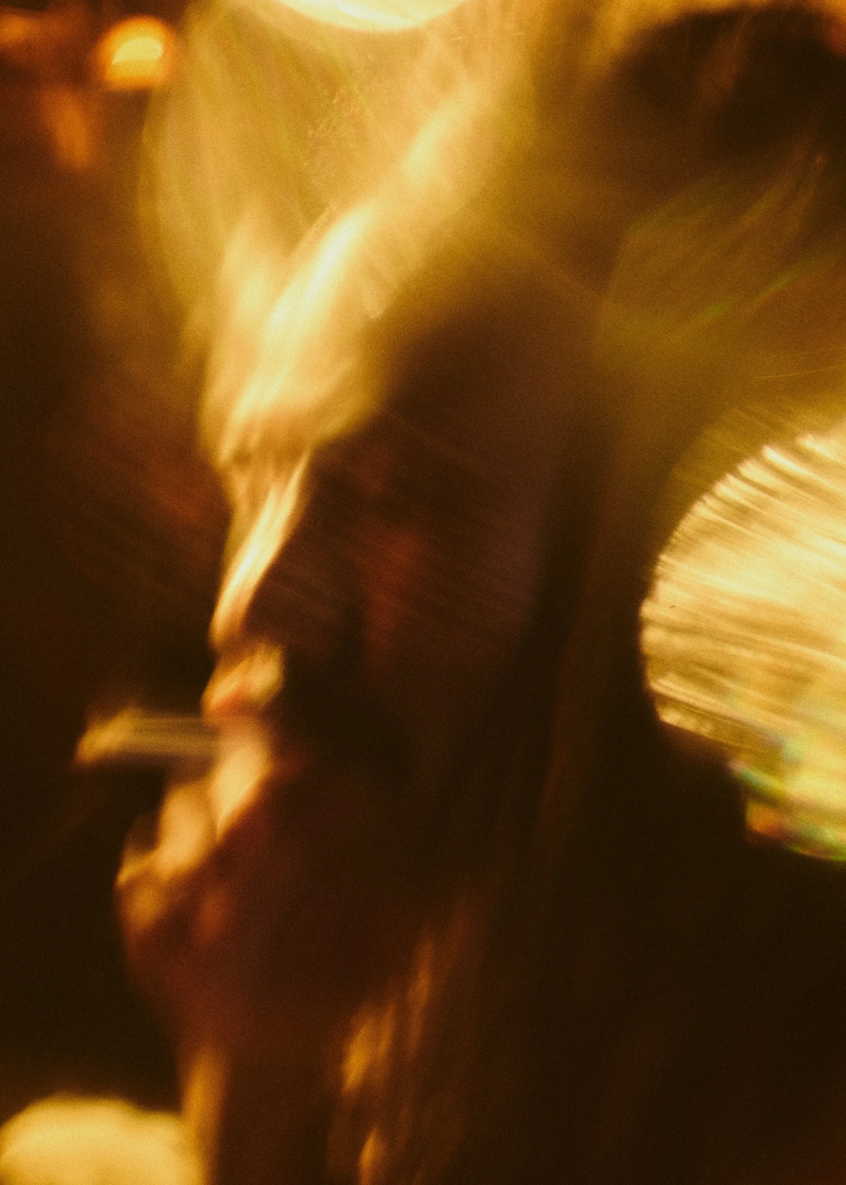 RAP_20250130_TRELAN_TEST_0420.jpg