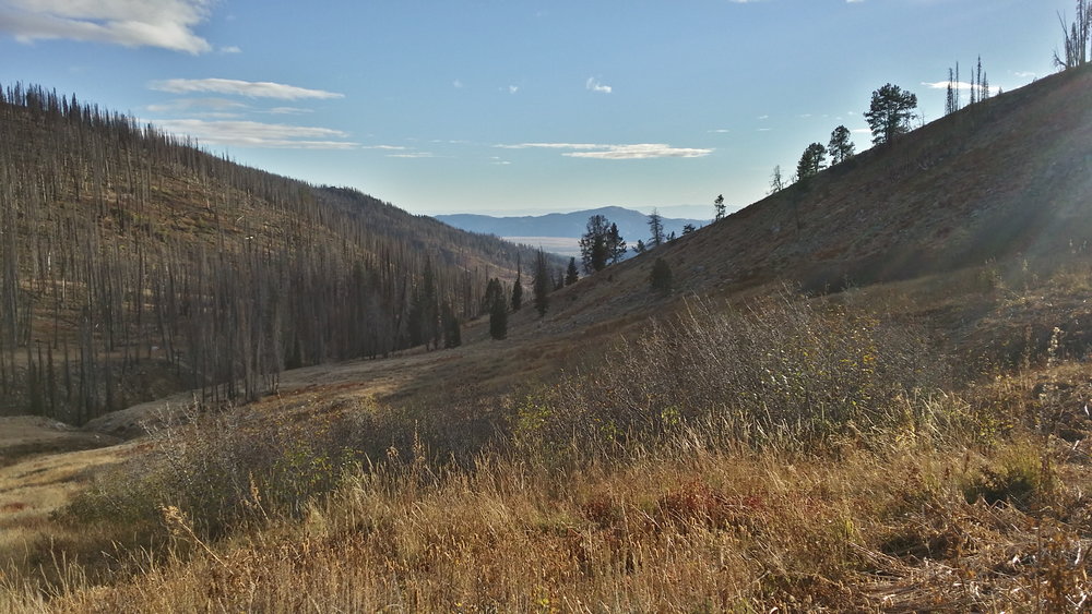 Looking Down to Prarie