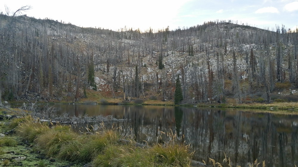 Smith Creek Lake