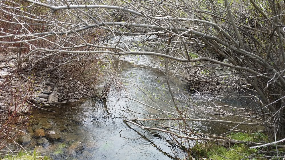 Current Creek finally joins Corral Creek