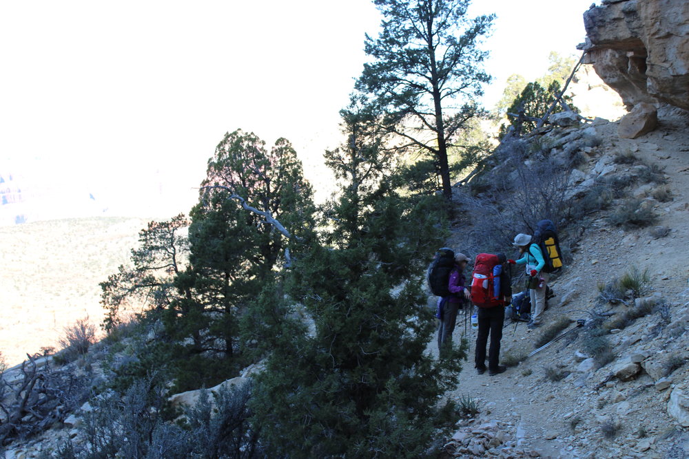 Our group pauses in the Coconino Layer