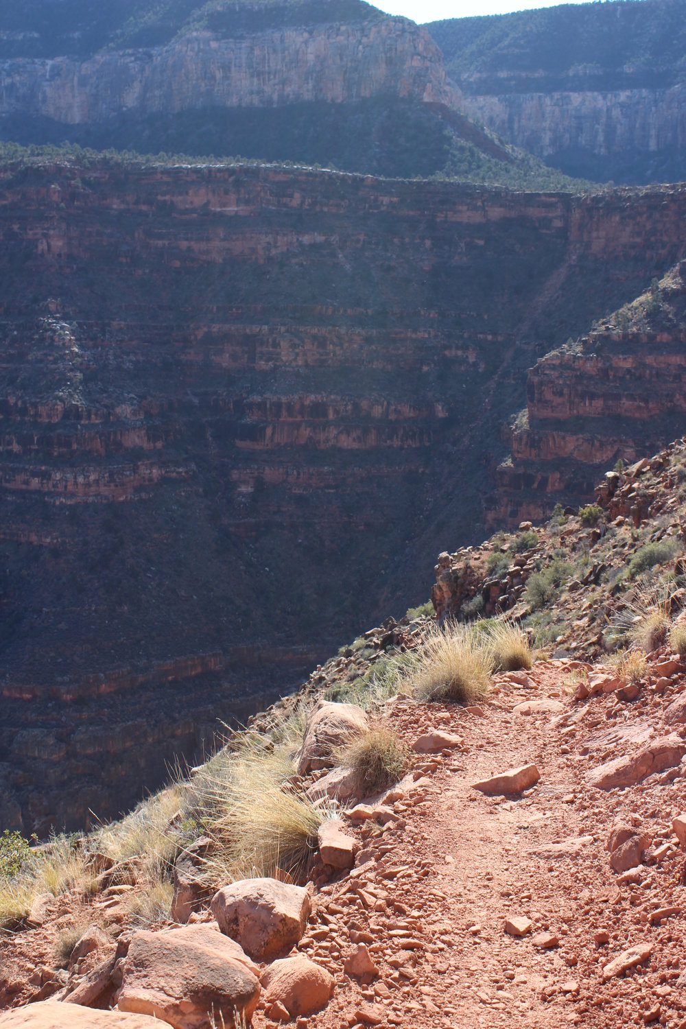 The trail turns back into Bass Canyon