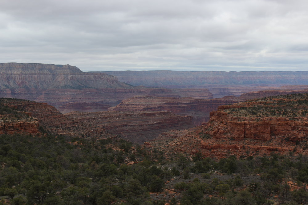 Looking back into the Canyon