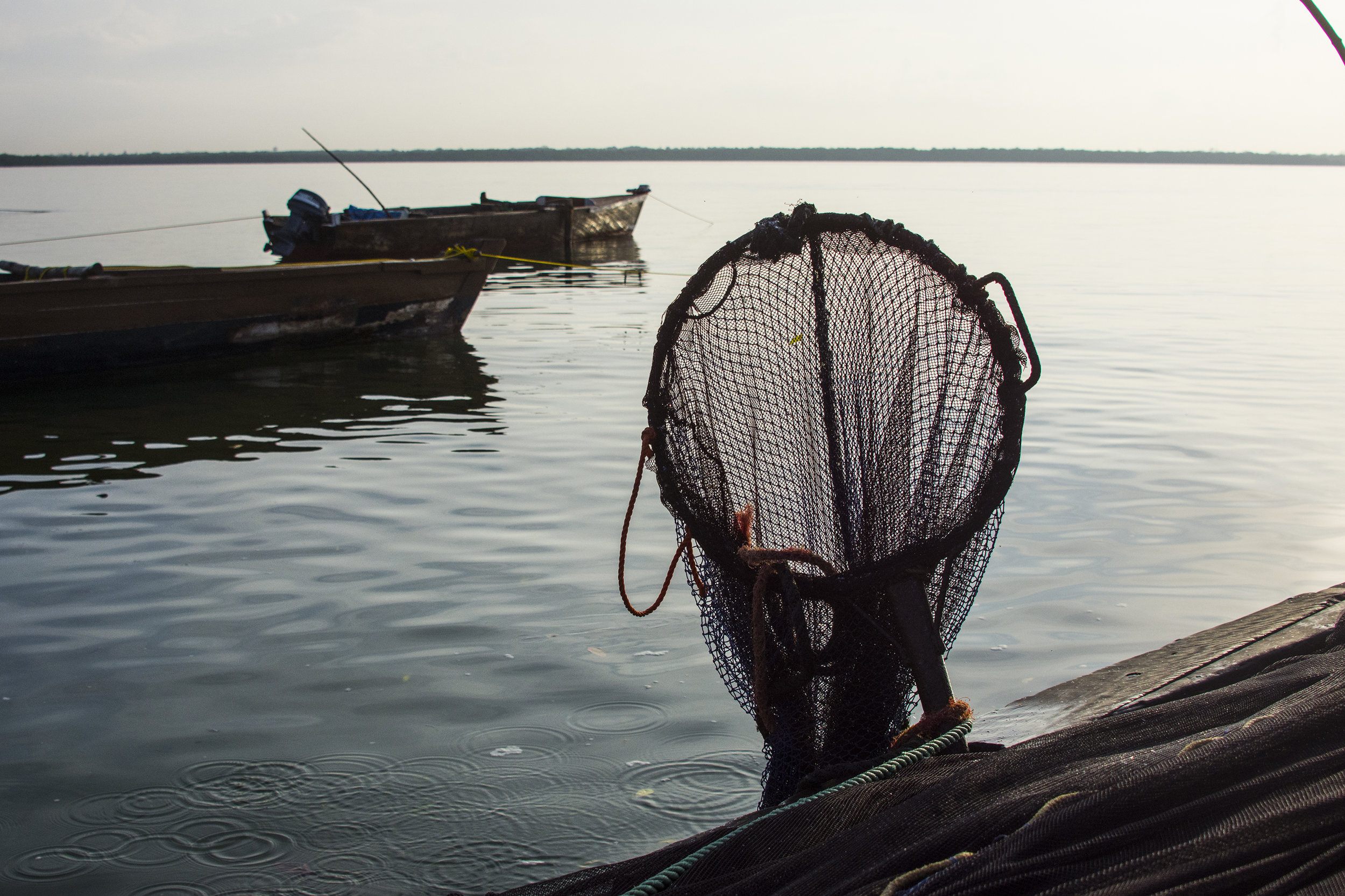 A ring net hangs off a boat at Gazi landing site in Msambweni. The holes between the meshing are illegal, because they are too small. They don't just catch the target fish species, they also scoop up juvenile fish, nests and eggs, impacting the sustainable life cycle.