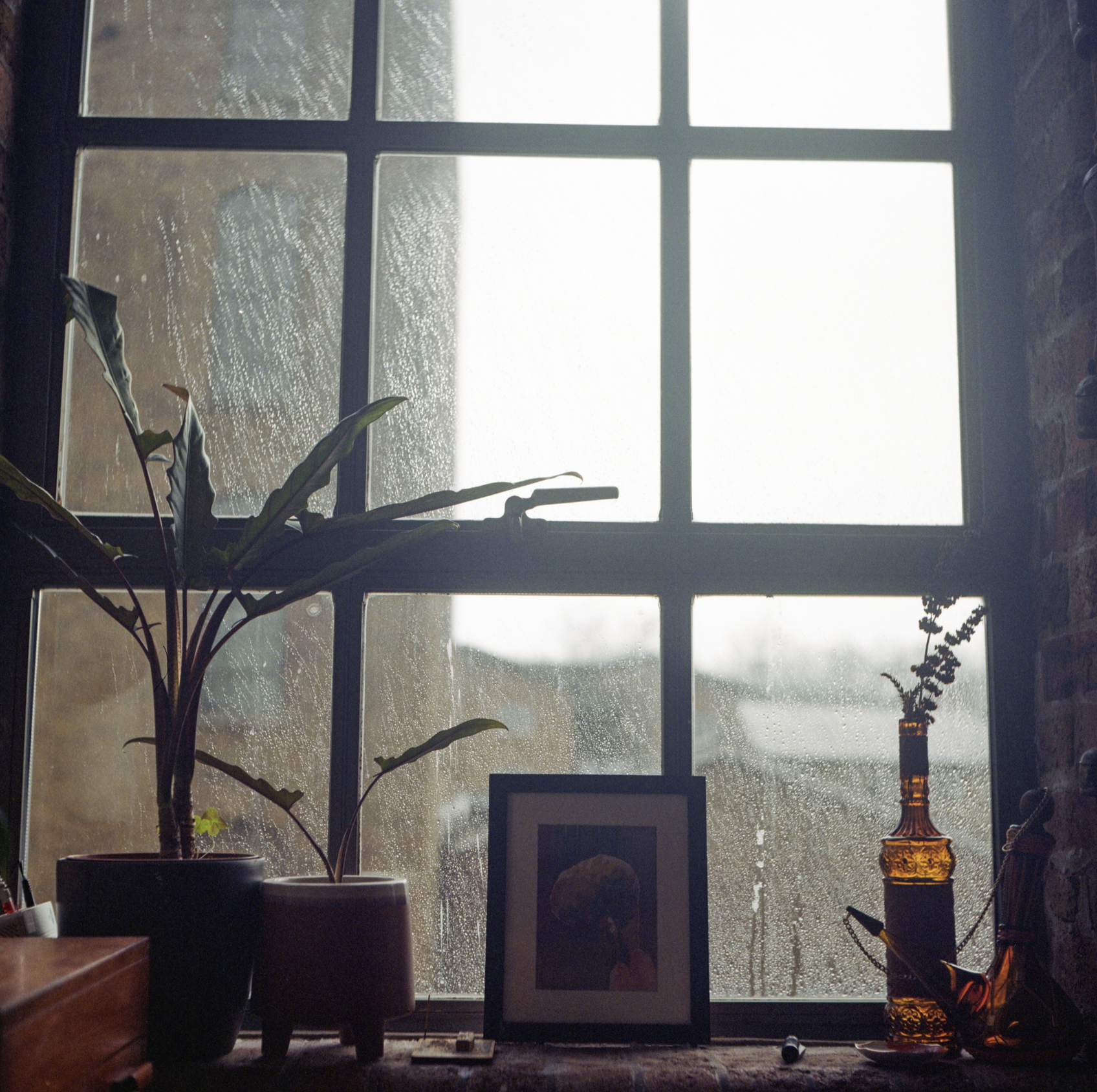  Sometimes the antidote to despair in this time is purposeful action. And sometimes the antidote is deep loving on and presence with the place and people that make home, home.  When my partner, Geoff, and I moved to London three years ago, we were ma