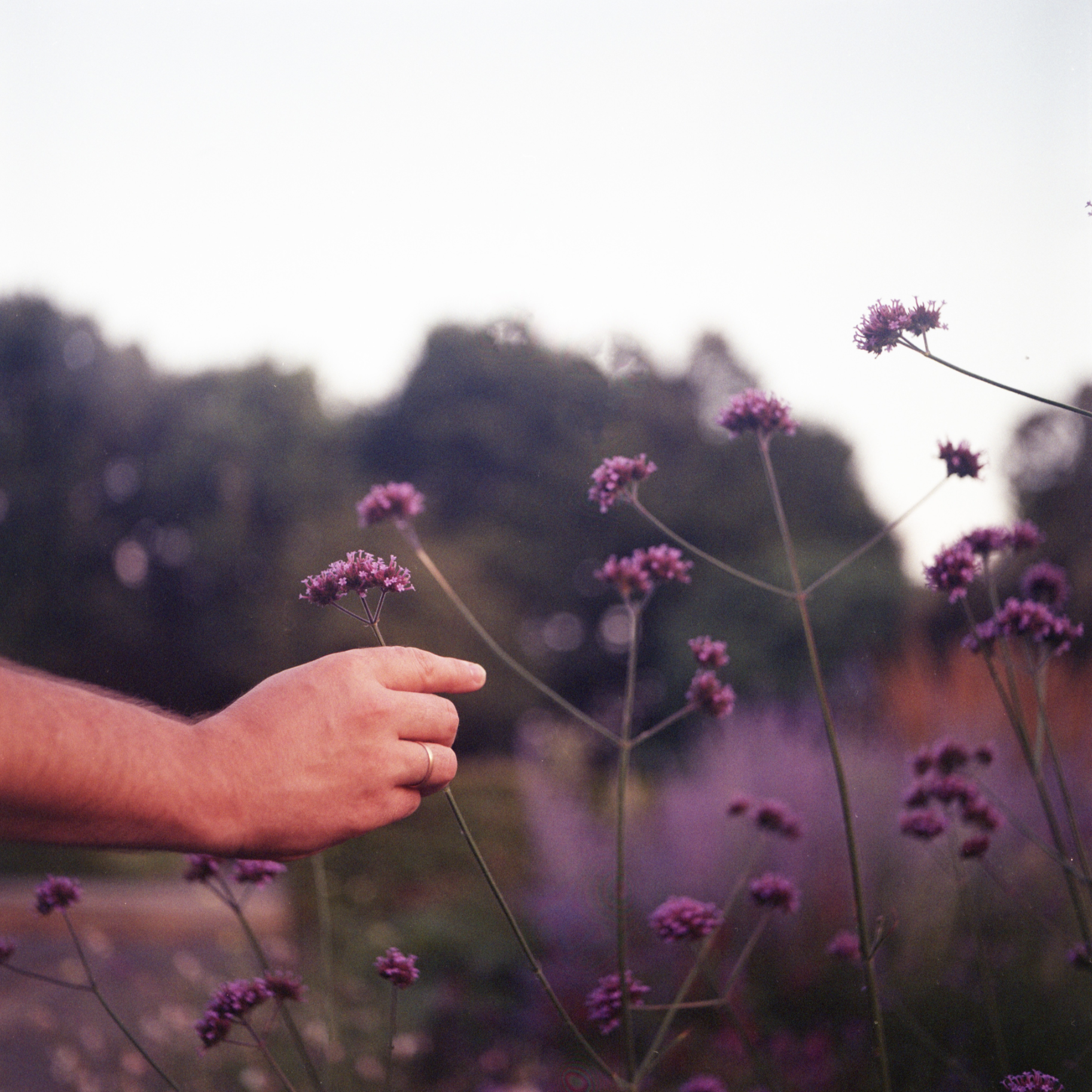  From listening to stories of family conflict around end of life, one of the most common sources of misunderstanding happens because grief looks different for each of us. While there are some universal threads that we can recognize in each other’s ex