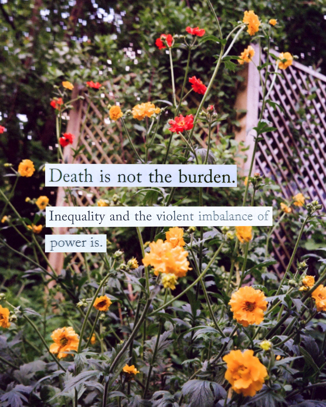  “Death is not the burden. Inequality and the violent imbalance of power is.”    These words from activist and writer Malkia Devich-Cyril ground me in the recognition that while death is part of the natural cycle of being human, many of the ways peop