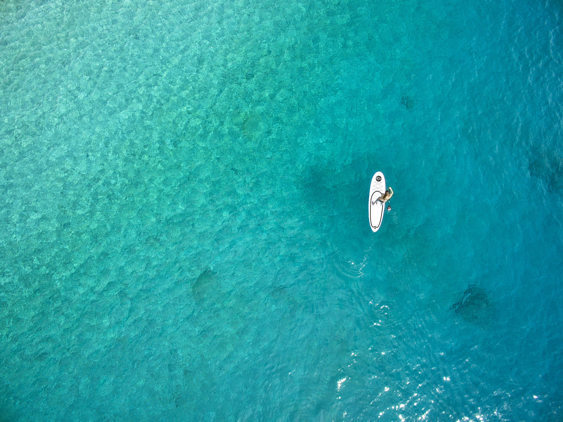 airboard_top view_edit.jpg