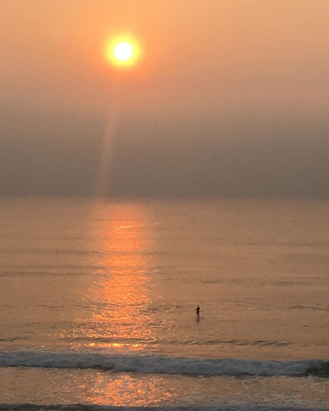 #therapy #lonely #surfer #sup #sunrise #smokey #cronulla #dawn