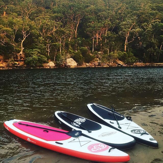 #sunset #paddle in the Royal National Park with brand ambassasor @corbymcgregor  The &lsquo;ECO RIVER&rsquo; perfect for todays session... young gun Carter also carved up on the NEW JACKO isup from @jacksonsurfboards  These Airboards are great for al