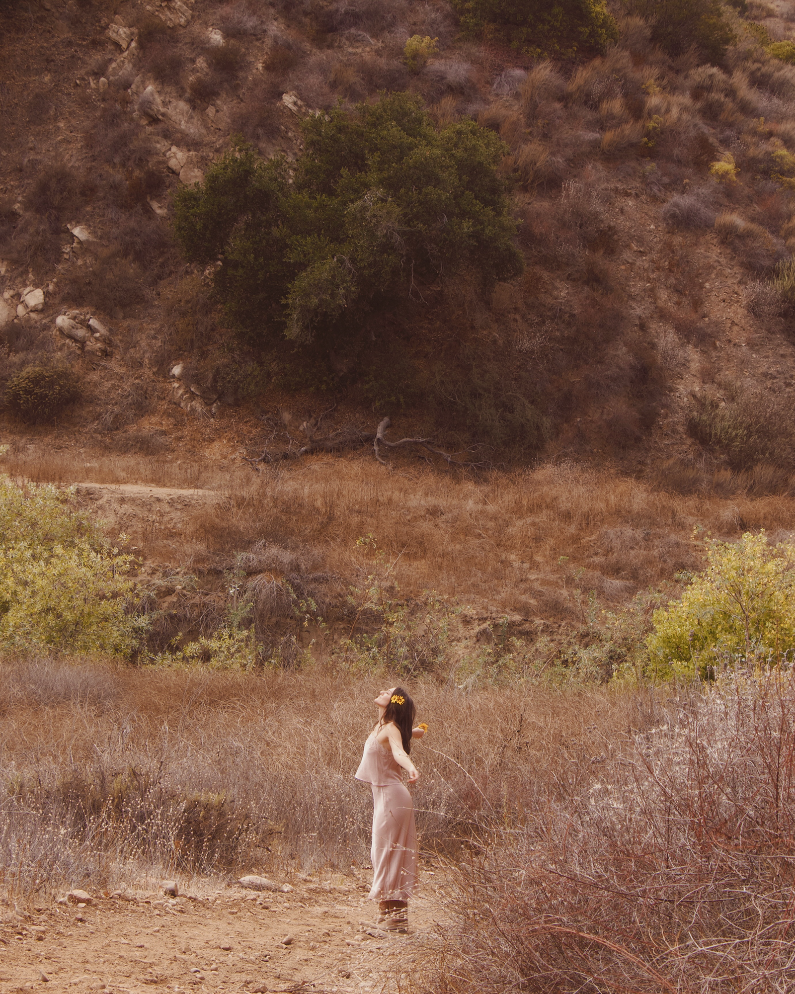 Tezza-1642 copy 2 sm.png