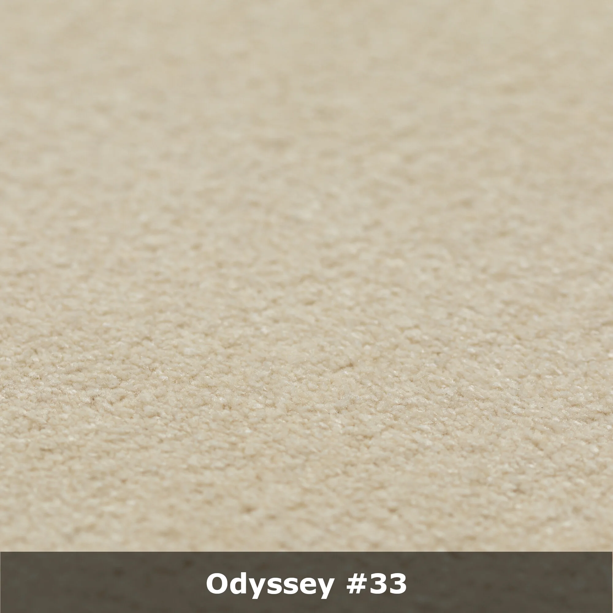 ody33d_text.jpg