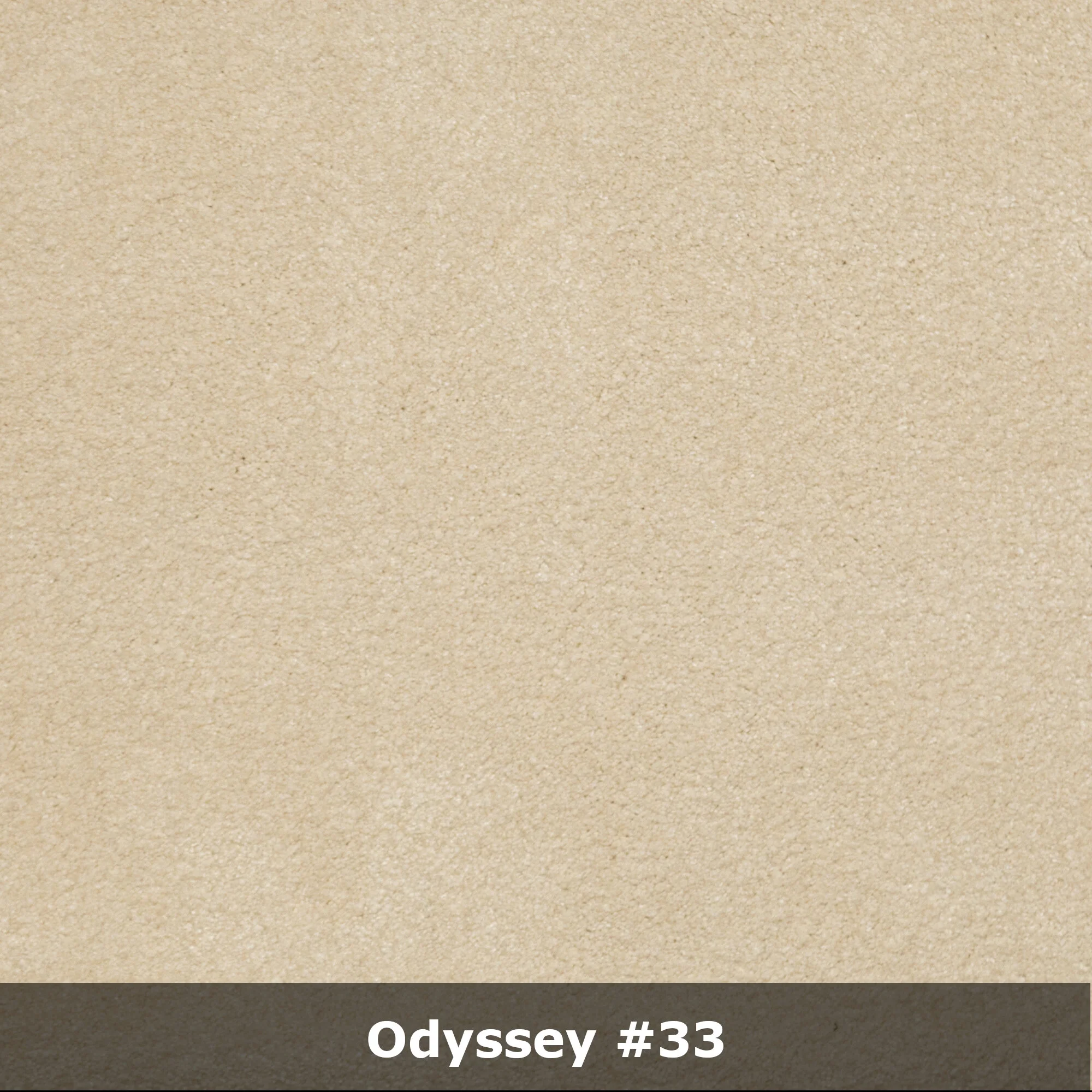 ody33_text.jpg