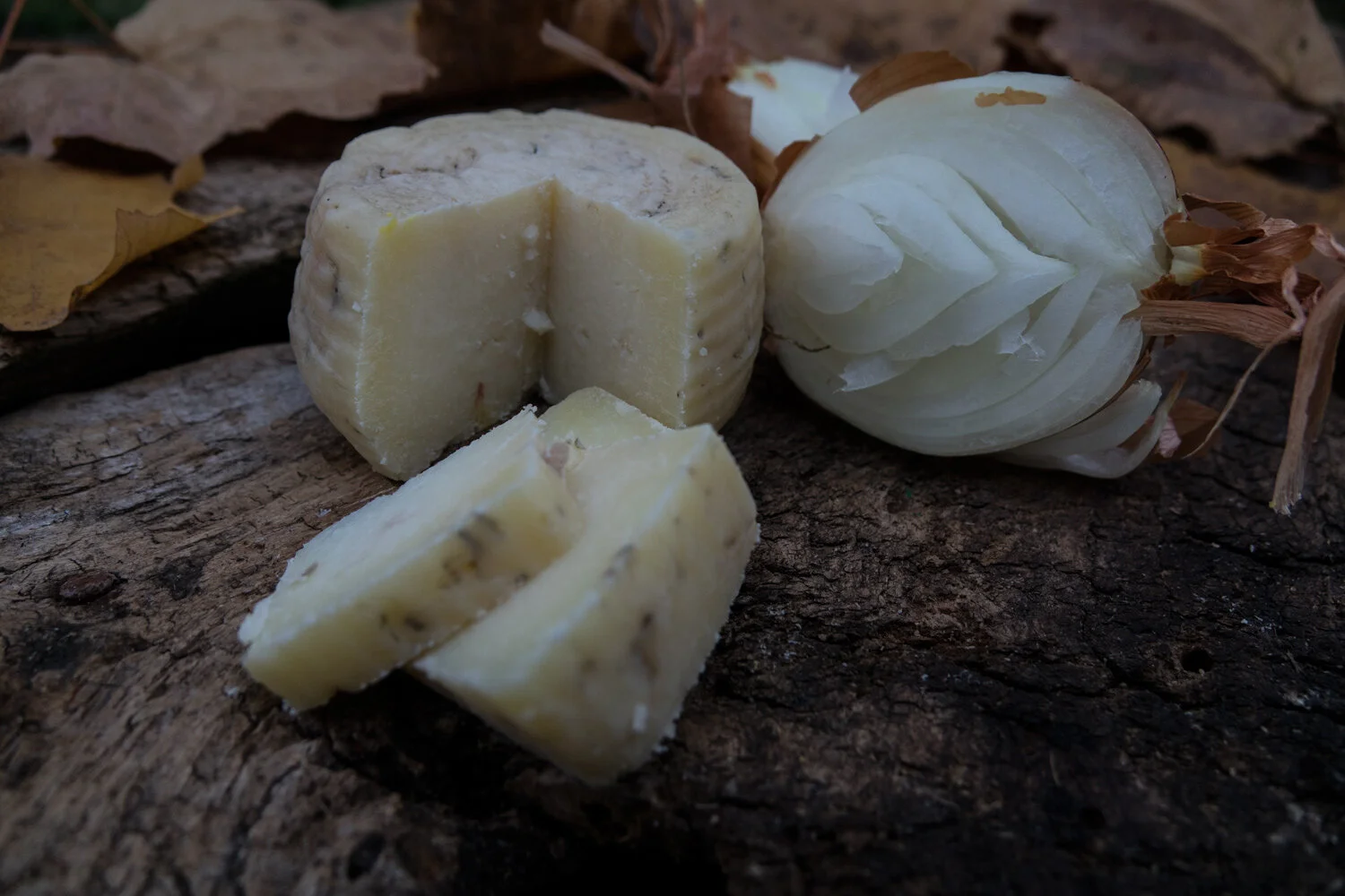 SPEZIATO CON CIPOLLE