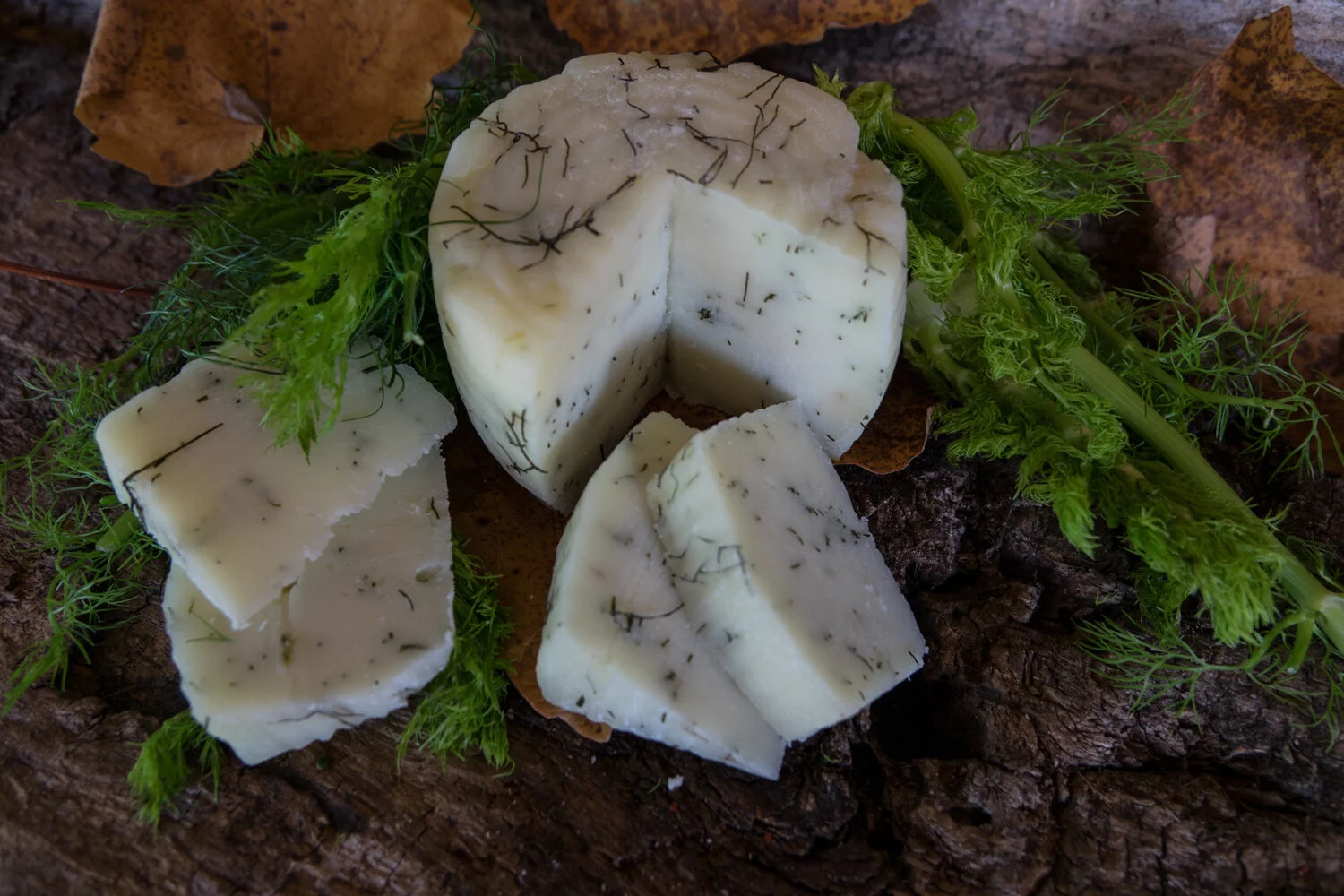 SPEZIATO CON FINOCCHIO