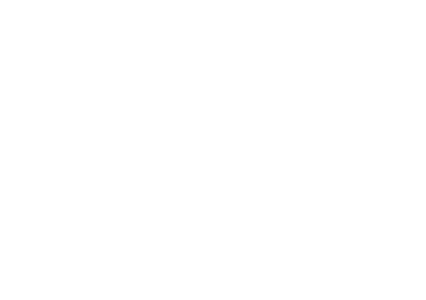 PATTA PNG WHITE.png