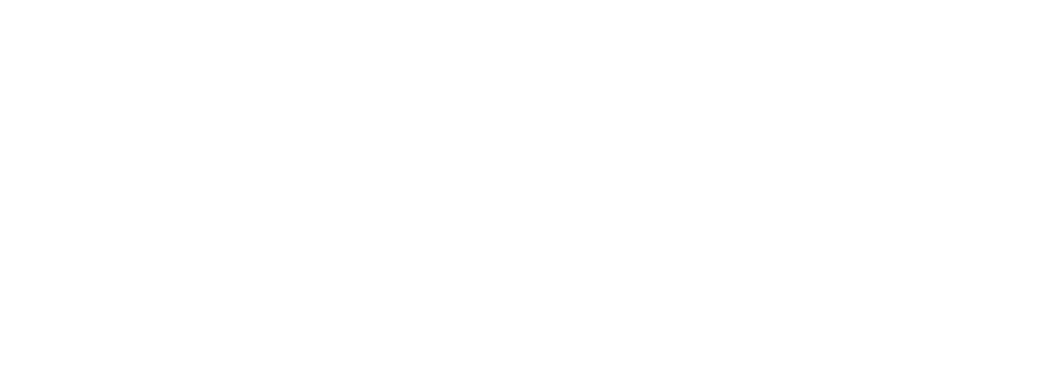 NIKE PNG WHITE.png