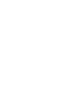 soprasteria.png