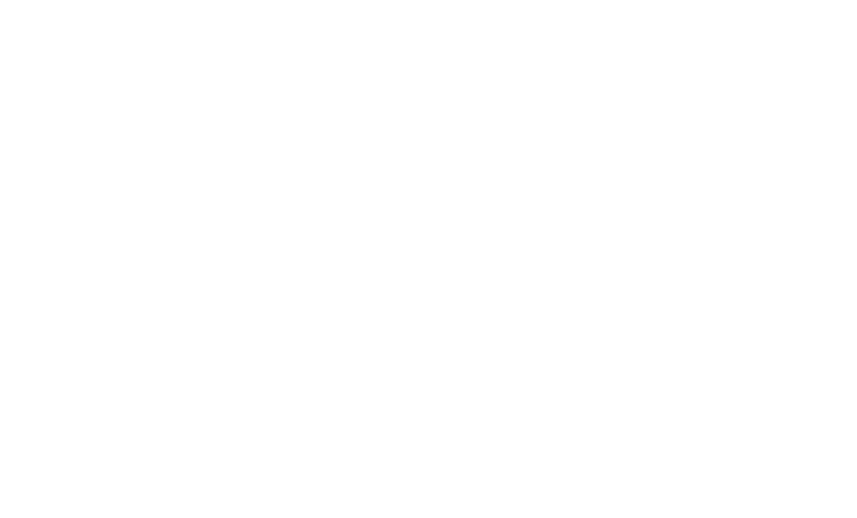 Microsoft Silver Partner Logo White Small.png