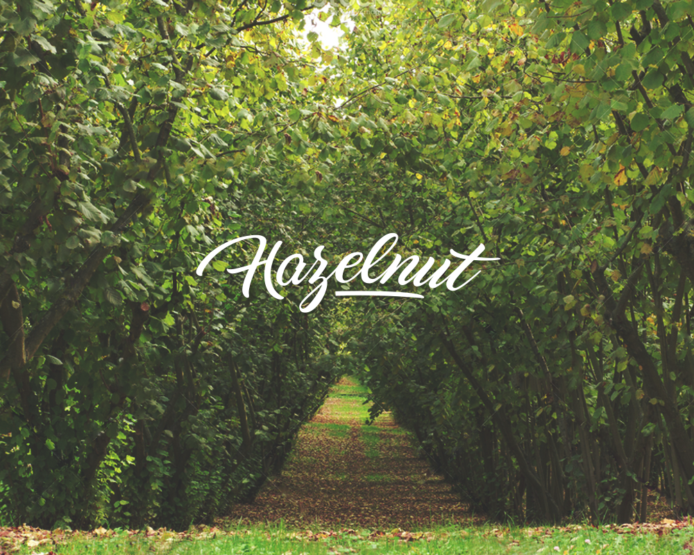 hazelnut.png