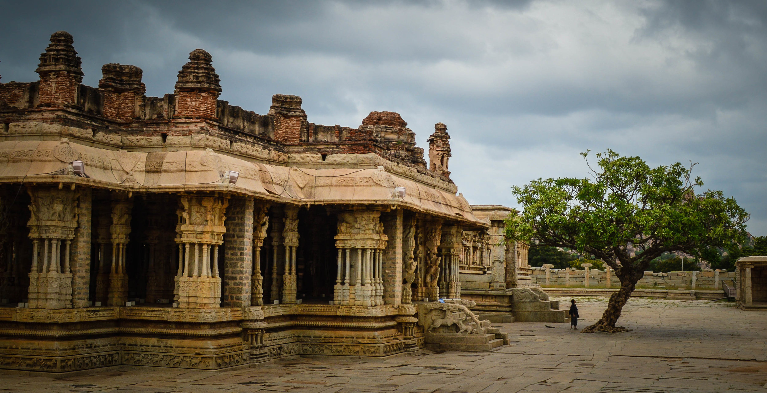 Maha Mantapa, Vitthala Temple, this tree portrays the circle of life, its lush during spring and withers in the winter; wish I had a picture to show the contrast.
