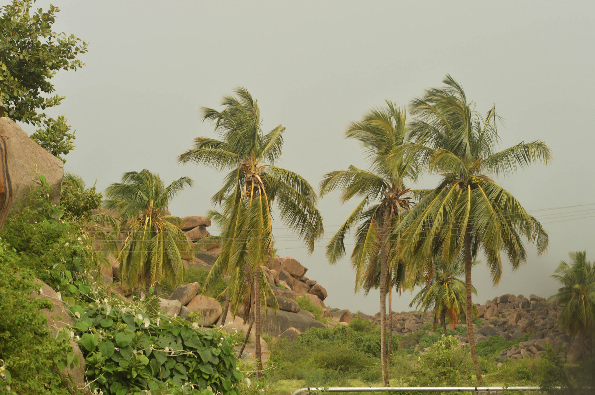 Hampi, Oh so green!