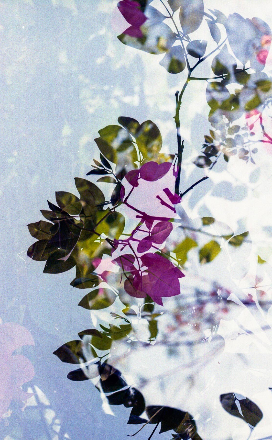 Summer in Double Exposures_4.jpg