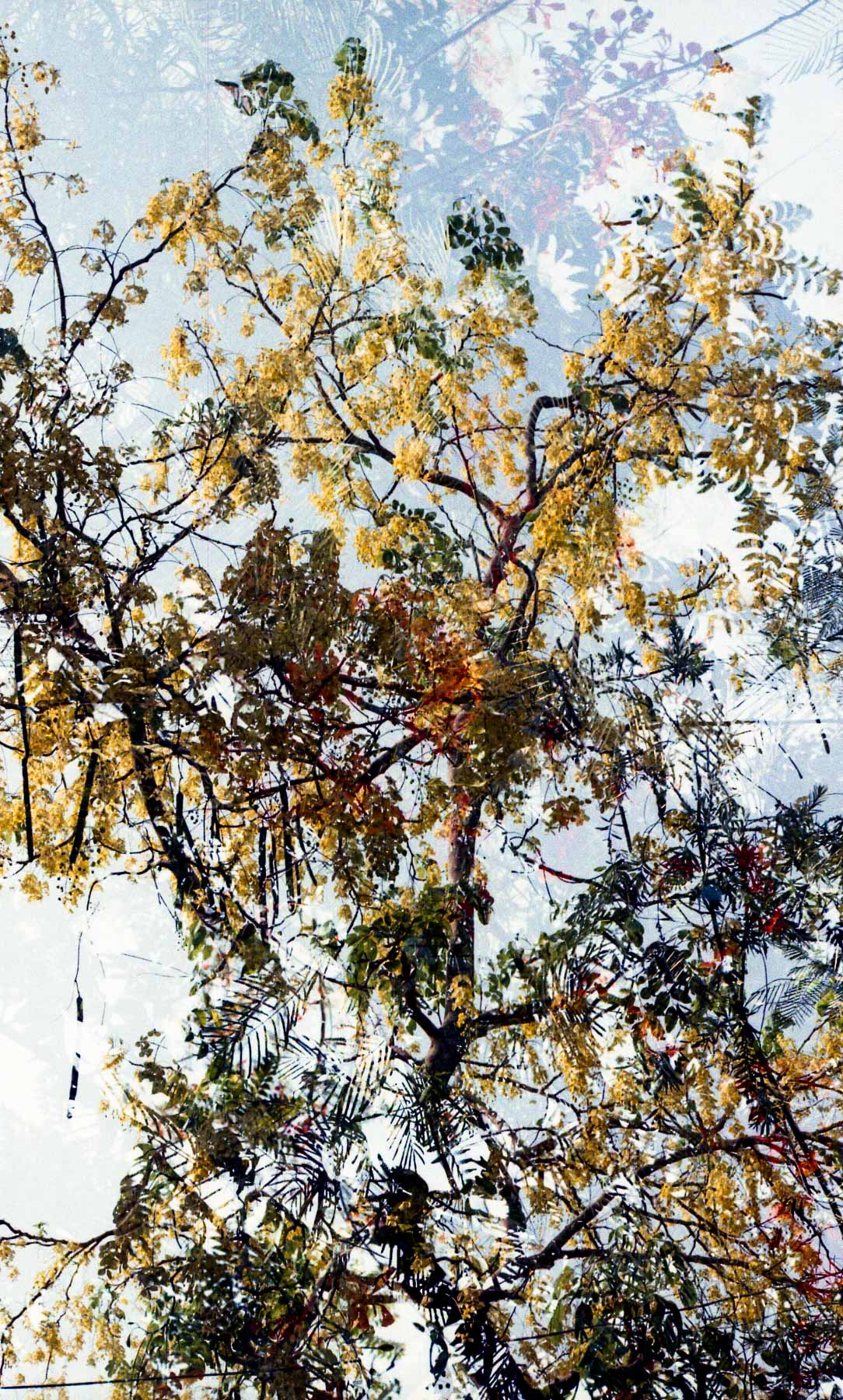 Summer in Double Exposures_5.jpg