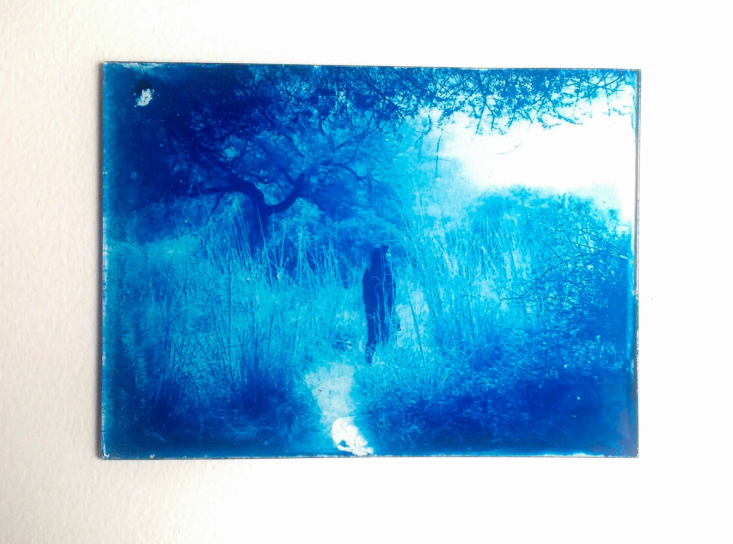 Cyanotype on glass