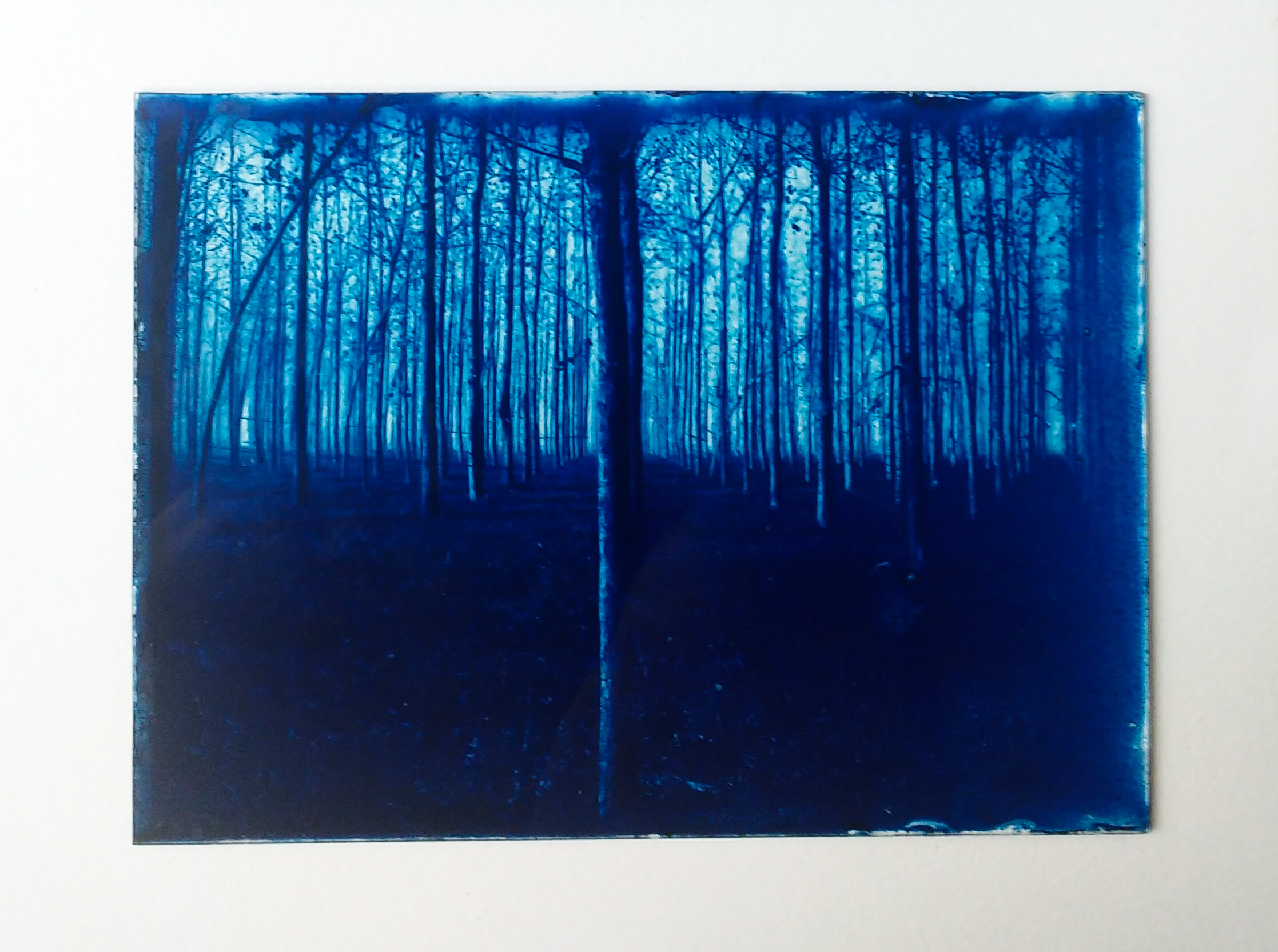 Cyanotype on glass