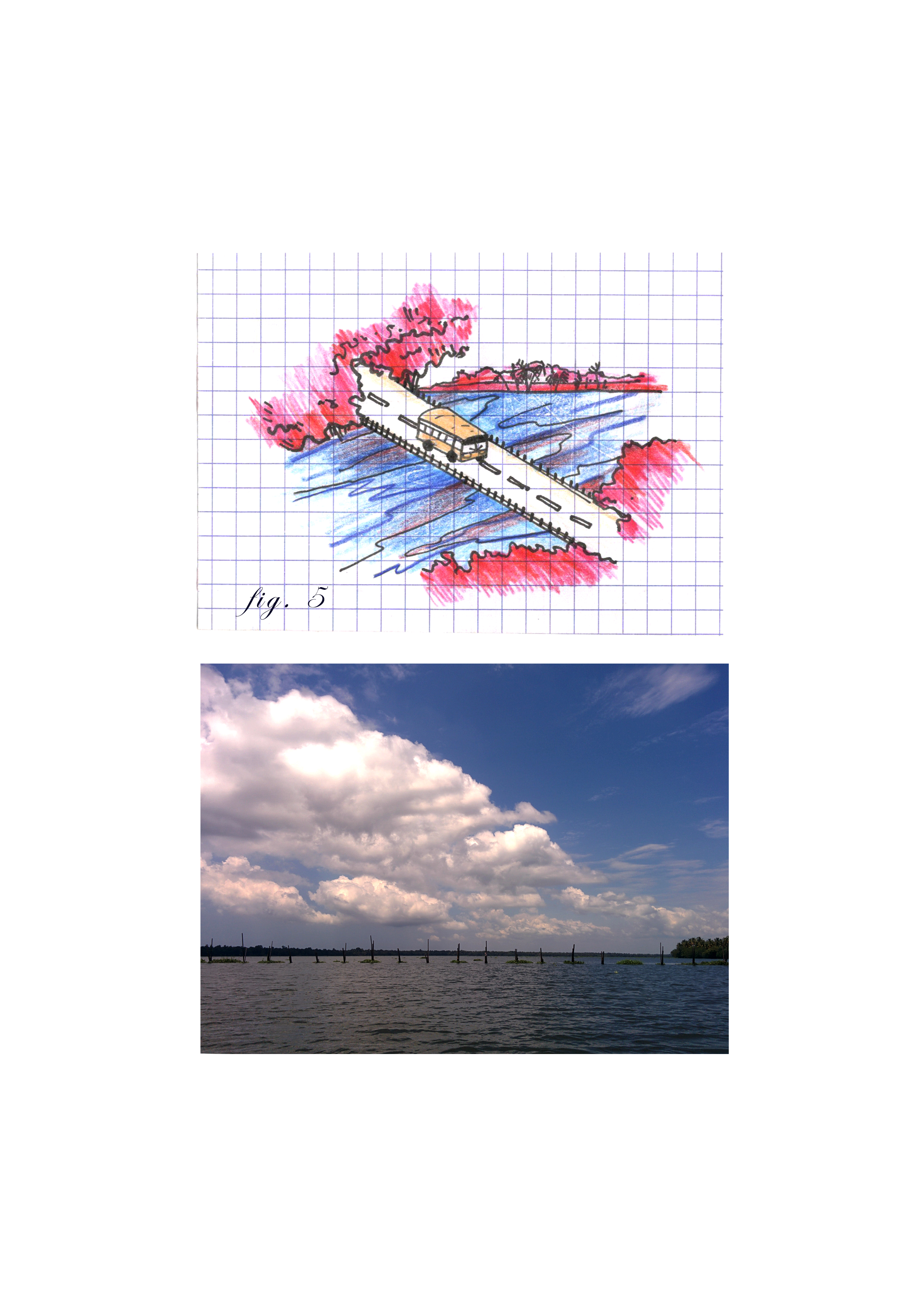 Fig 5.jpg