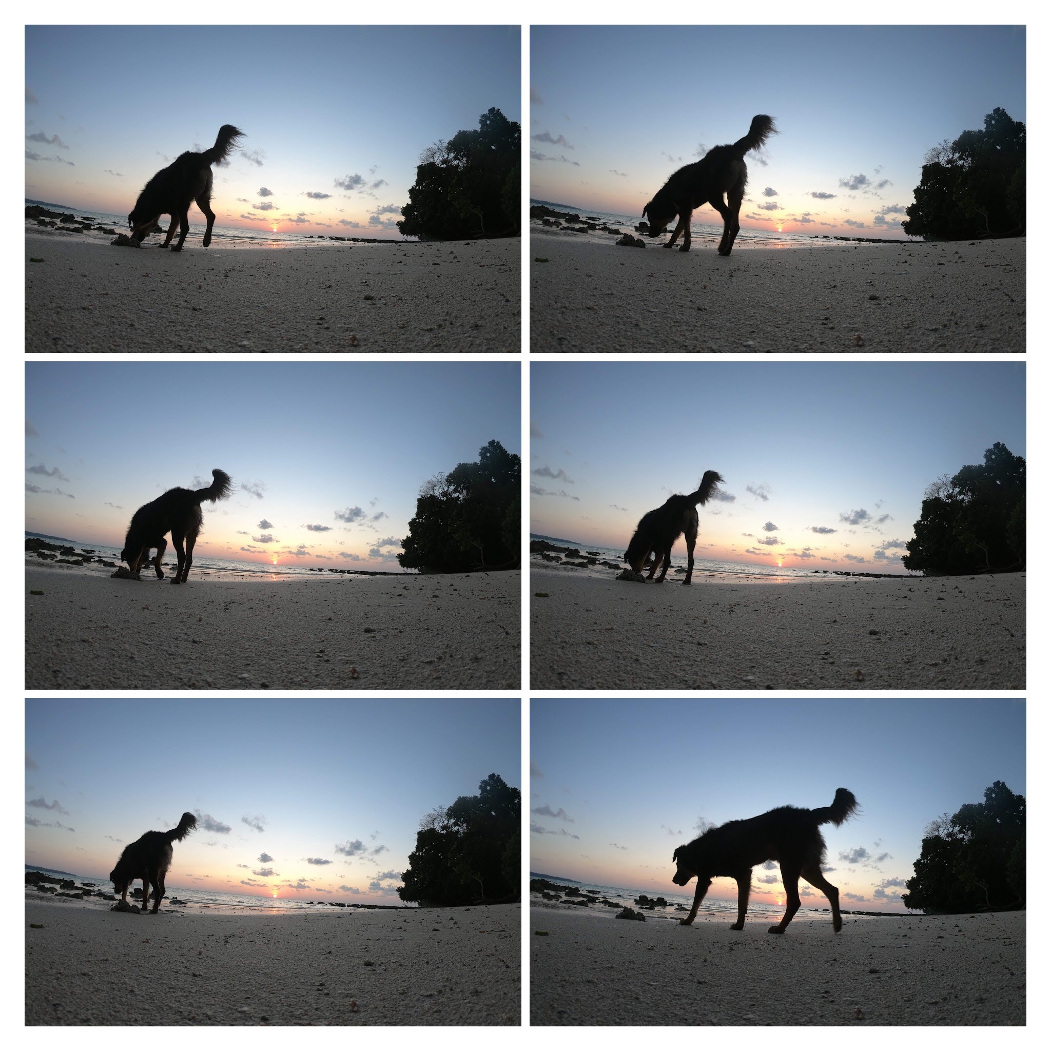 G0190827-COLLAGE.jpg