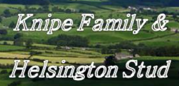 Knife Family & Helsington Stud