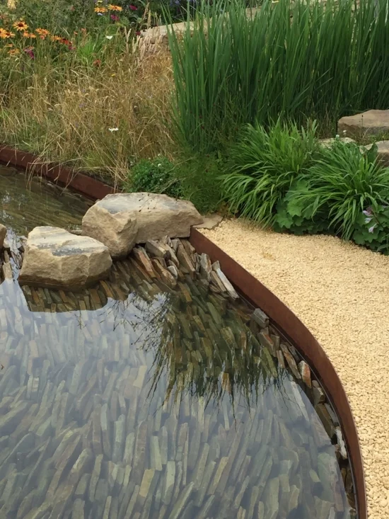 ‬iphone 2015 - aug 2016 864.JPG