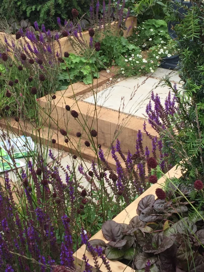 ‬iphone 2015 - aug 2016 838.JPG