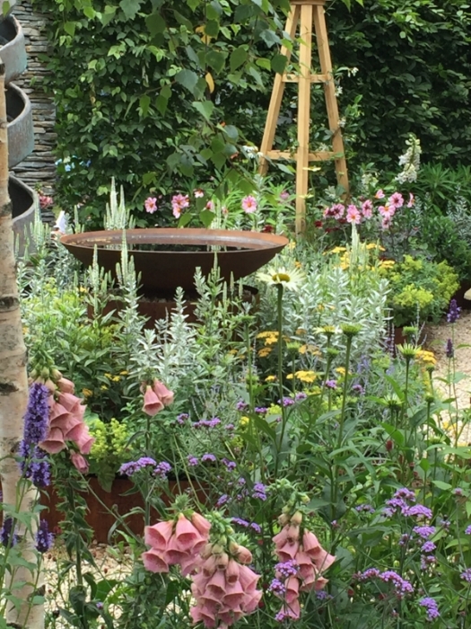 ‬iphone 2015 - aug 2016 855.JPG