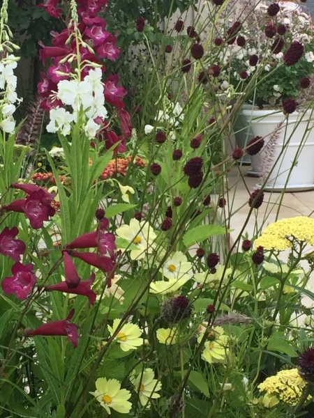 ‬iphone 2015 - aug 2016 832.JPG