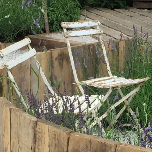 ‬iphone 2015 - aug 2016 844.JPG