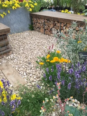 ‬iphone 2015 - aug 2016 887.JPG