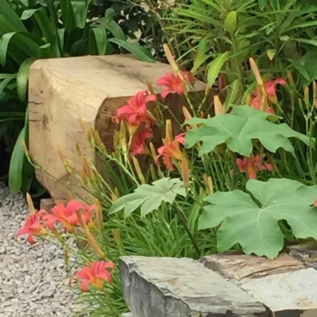 ‬iphone 2015 - aug 2016 841.JPG